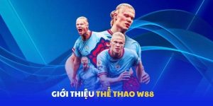 Thể Thao W88